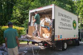 Shed Removal